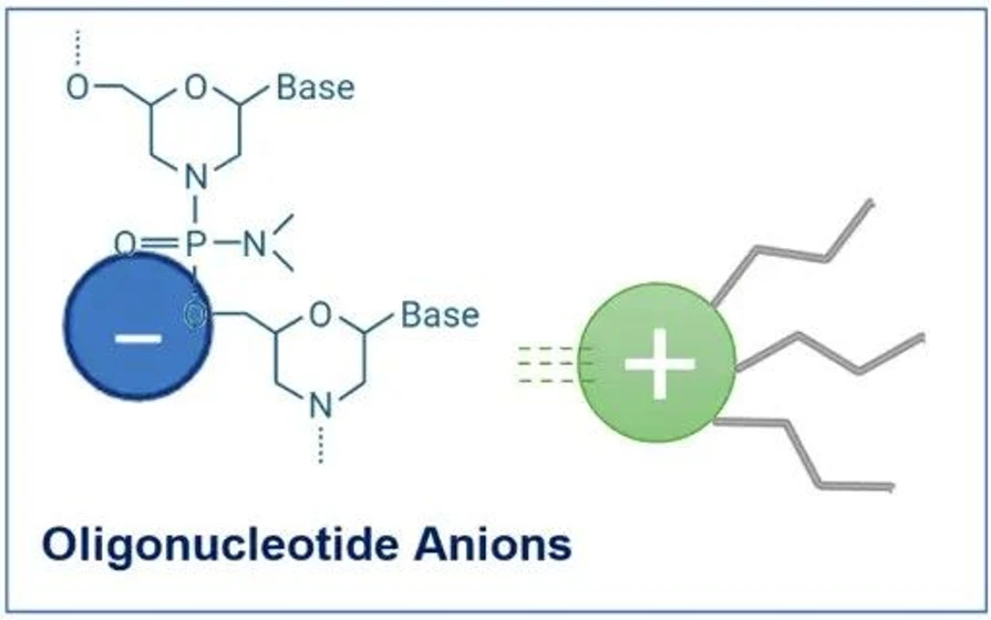 KNAUER: Figure 5 - Cationic Ion-Pair Principle for Oligonucleotides.