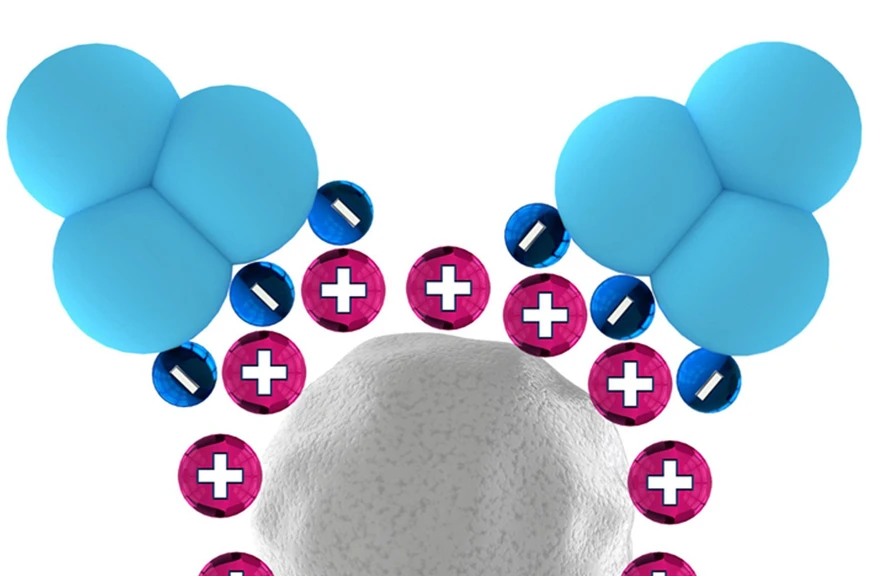 KNAUER: Sepapure FPLC Columns for Ion Exchange Chromatography