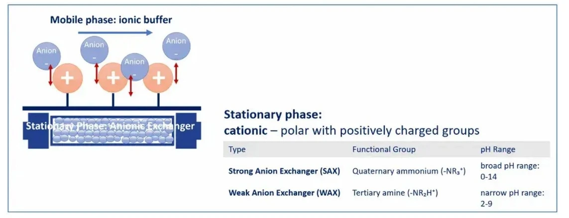 KNAUER: Oligos Made Easy - Part 2 AEX: Figure 3 Ionic interactions and pH influence on Anion Exchange Chromatography (AEX).