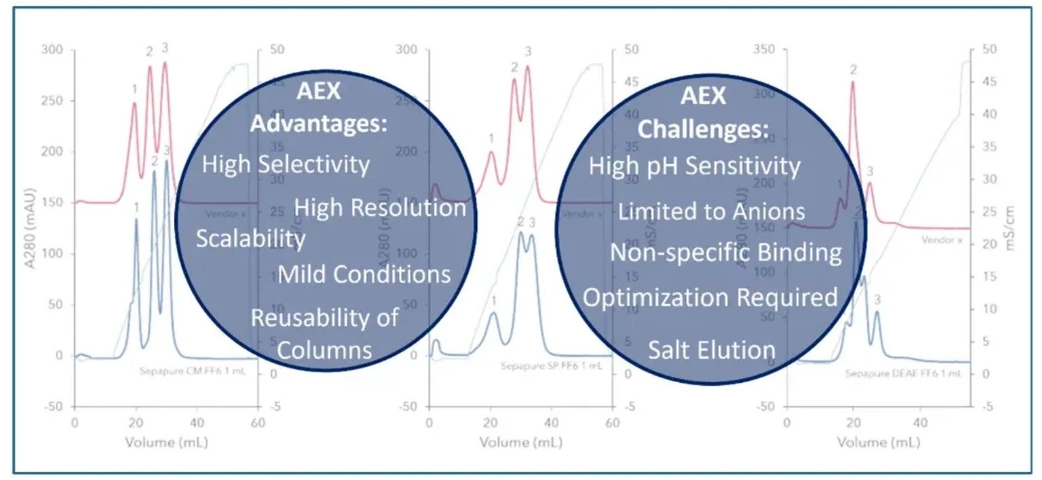 KNAUER: Oligos Made Easy - Part 2 AEX: Figure 5 AEX Advantages and Challenges.