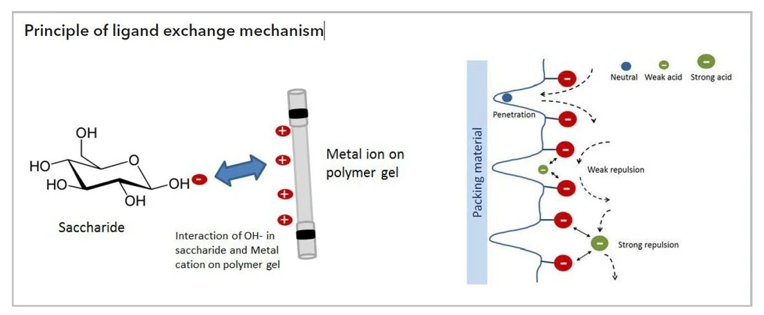 KNAUER: Eurokat - Principle of ligand exchange mechanism