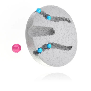 KNAUER Sepapure® FPLC Desalting Columns