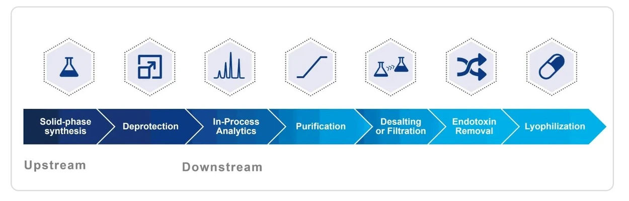KNAUER: Typical workflow for oligonucleotide production