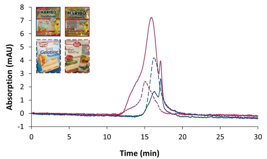 KNAUER: Fig. 3 Overlay chromatograms measured with DAD at 230 nm, 20 µL and column set B. Solid dark blue line: Haribo® Goldbears; solid red line: Halal Haribo® Goldbears; dotted dark blue line: porcine reference standard; dotted red line: bovine reference standard. Graphic by KNAUER.