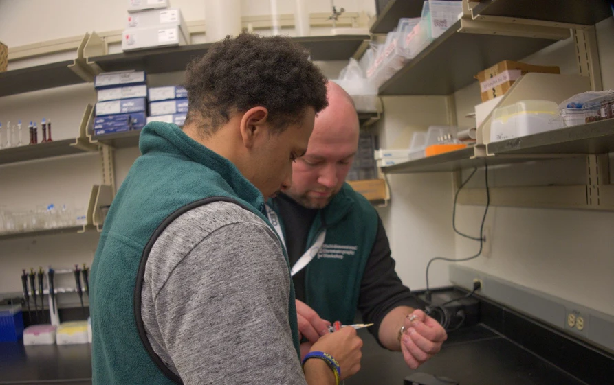 MDCW: 17th MDCW 2026 - Short Course (Day 0)