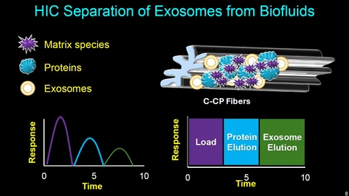 Two-Dimensional Liquid Chromatography Isolation and Quantitation of IgG and Exosomes from Cell Culture Media (Chris Topper, MDCW 2026)