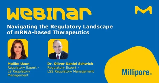 Navigating the Regulatory Landscape of mRNA-based Therapeutics