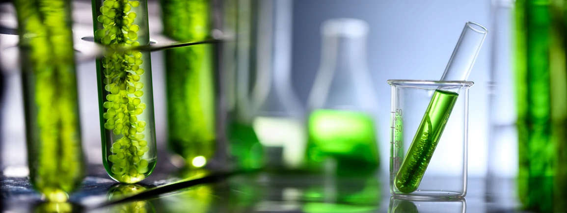 <p><strong>Organomation: </strong>Microplastics and Nanomaterials: Understanding Emerging Contaminants in Environmental Testing</p>