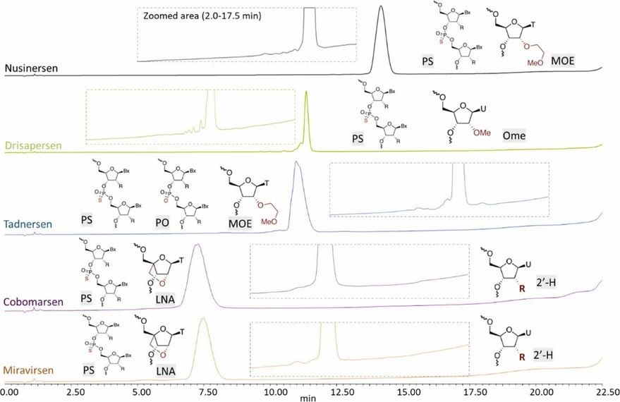 Pharm Biomed Anal. 2026,15:268:117097: Fig. 2. Comparison of UV (260 nm) chromatograms for 0.8 µg injection of the studied RNA-based ss-ASOs where corresponding structural modifications are indicated. PS: phosphorothioate linkage; PO: phosphodiester linkage; MOE: 2’-O-methoxy ethyl; Ome: 2’-methoxy, 2’-H: 2’-deoxy; LNA: locked nucleic acid.