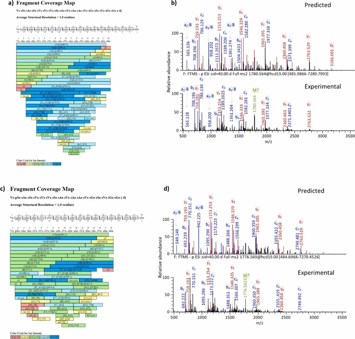Pharm Biomed Anal. 2026,15:268:117097: Fig. 5. Fragment coverage maps (a) and (c) for nusinersen full length product and PO impurity, respectively. Annotated predicted (top) and experimental (bottom) MS2 spectra (b) and (d) acquired at stepped NCEs of 17–19–21. Most abundant ions are highlighted, which correspond to c and y fragment ions.