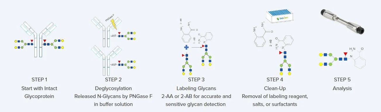 Phenomenex: Biozen N-Glycan Clean-up