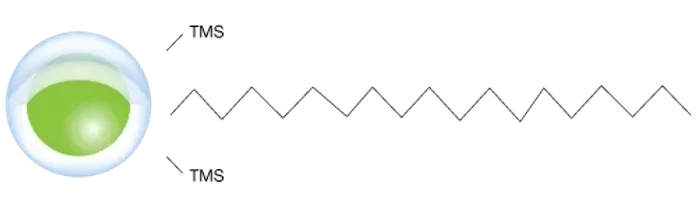Phenomenex Biozen Oligo LC columns