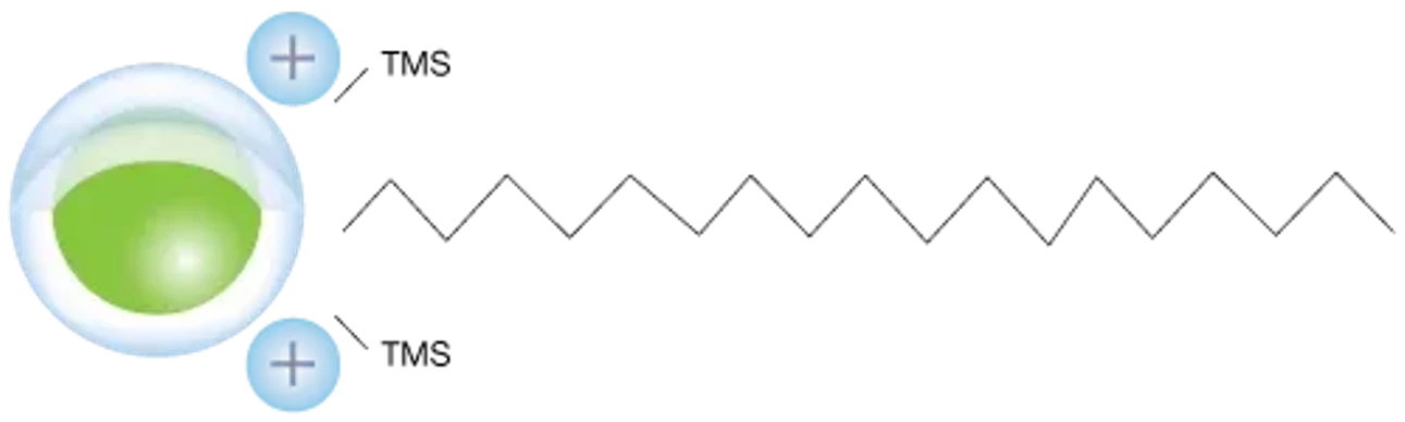 Phenomenex: Biozen Peptide-PS-C18 HPLC Column