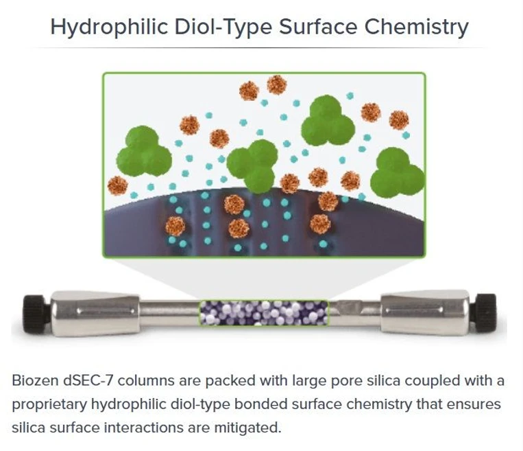 Phenomenex: Biozen dSEC-7 Column