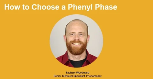 How to Choose a Phenyl Phase