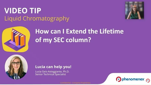 Extending the Lifetime of Size Exclusion Columns