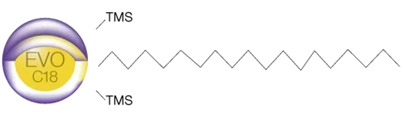 Phenomenex: Kinetex EVO C18 Core-shell HPLC Column