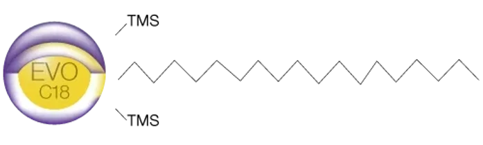 Phenomenex Kinetex EVO C18 Core-Shell Preparative Columns