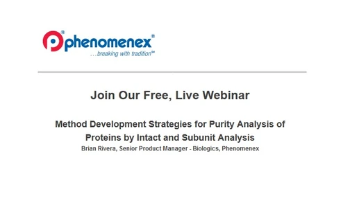 Method Development Strategies for Purity Analysis of Proteins by Intact and Subunit Analysis