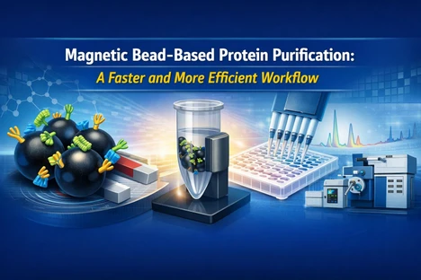 Magnetic Bead-Based Protein Purification: A Faster and More Efficient Workflow