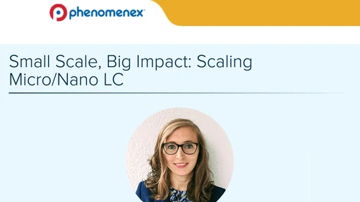 Small Scale, Big Impact: Scaling Micro/Nano LC