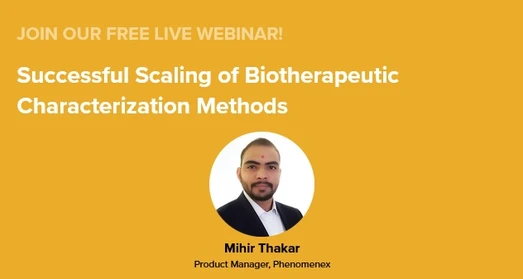 Successful Scaling of Biotherapeutic Characterization Methods