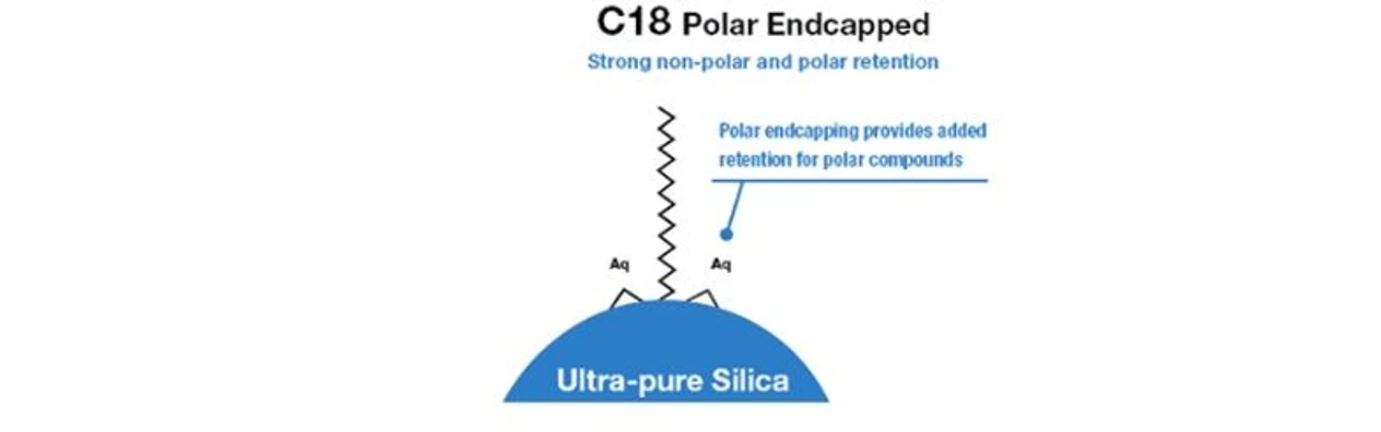 Phenomenex: The Role of End-Capping in RP.