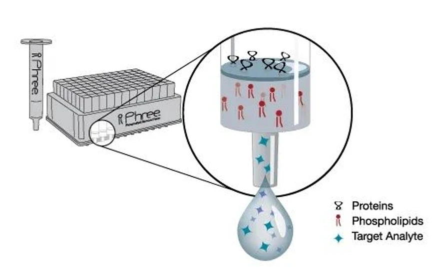 Phenomenex: Why Remove Phospholipids From a Sample? Figure 3: Phospholipid removal using Phree