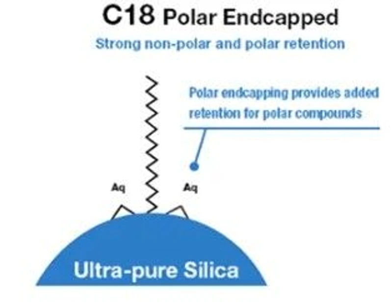 Phenomenex: C18 polar endcapping