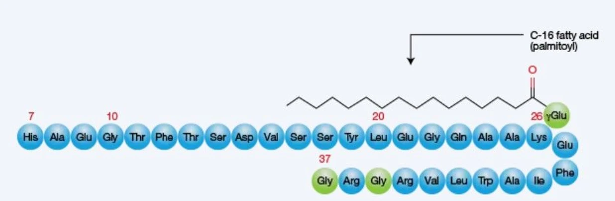 Phenomenex: Aggregate and Monomer Separation in Liraglutide Formulations