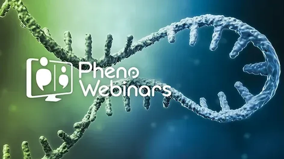 Phenomenex: Tips for Getting the Best Out of Your LC Phenomenex Column