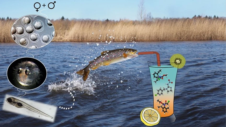 RECETOX/Eliška Kuchovská: Competitive slide at the MT180