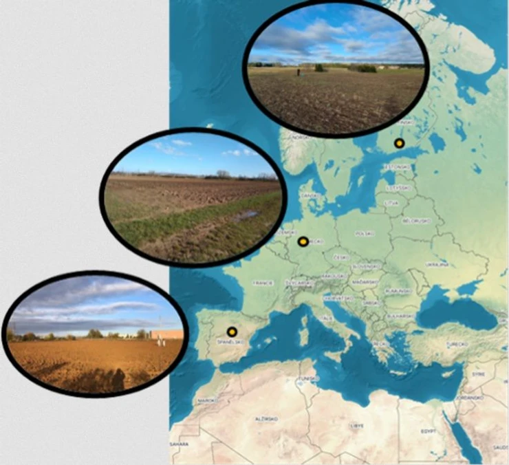 RECETOX: New Study Reveals How Agricultural Plastics Impact Soil Health In Real Conditions