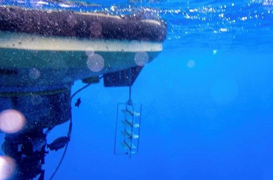 <ul><li><strong>Photo:</strong> RECETOX / emso.eu: A&nbsp;new project in the EMSO Physical Access programme tackles marine persistent pollutants</li></ul>