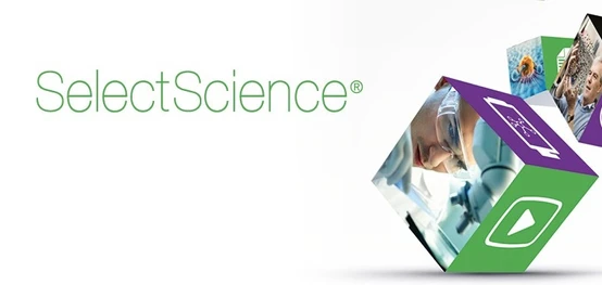 Architecture and Stoichiometry of Human Shelterin Using Single-Particle EM and Mass Analysis