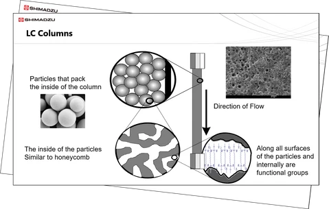 LC Theory & Key Principles - Session 5: Overview