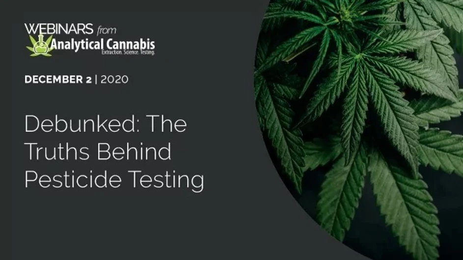 Technology Networks: Debunked: The Truths Behind Pesticide Testing