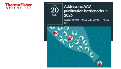 Addressing AAV purification bottlenecks in 2026