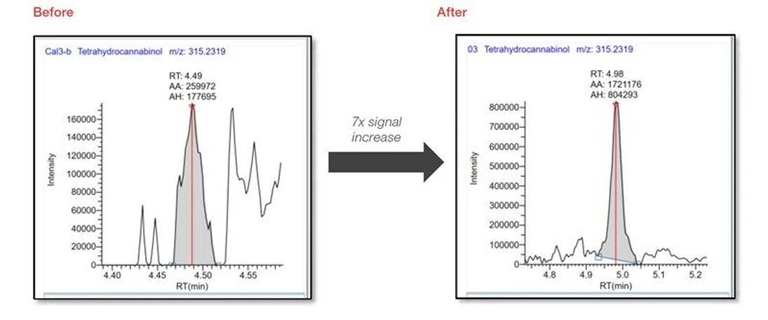Thermo Fisher Scientific: Behind the Bench: Tips to Simultaneously Analyze THC, Its Metabolites, and Other Drugs of Abuse Using LC-MS: Figure 1. THC signal in extracted oral fluid sample before and after changes were made to increase signal by 7x.