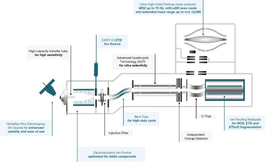 Thermo Fisher Scientific: Figure 1: 2D layout diagram showing the key engineering components of the Orbitrap Excedion Pro Mass Spectrometer