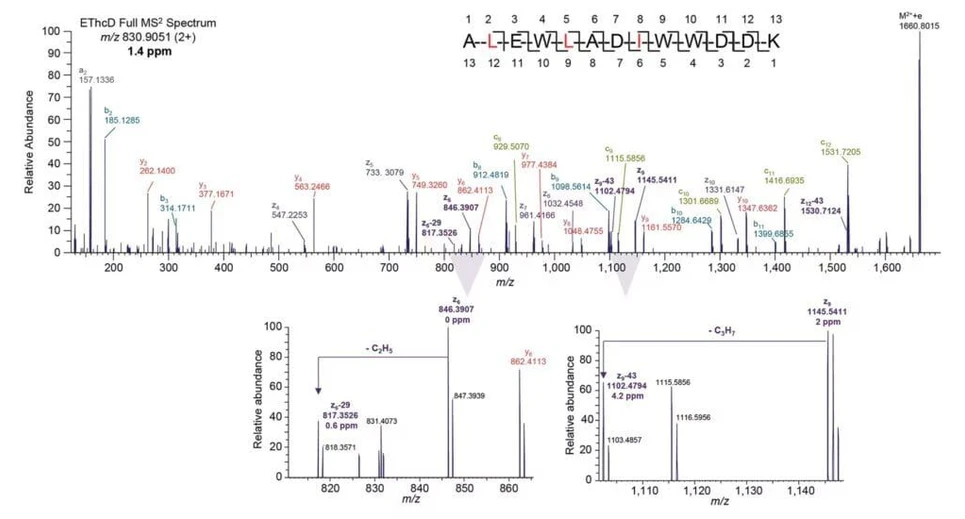 Thermo Fisher Scientific: Fragment Smarter, See Deeper: How the Orbitrap Excedion Pro Unlocks EASY-ETD and HCD Fragmentation: Figure 1: EASY-ETD/EThcD reveals isoAsp with signature ions.