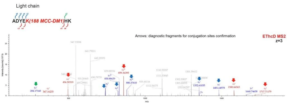 Thermo Fisher Scientific: Fragment Smarter, See Deeper: How the Orbitrap Excedion Pro Unlocks EASY-ETD and HCD Fragmentation: Figure 2. EThcD maps ADC conjugation without cleaving the payload.
