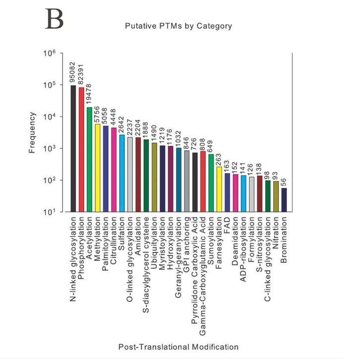Thermo Fisher Scientific: Freedom to Fragment: Introduction: Figure 2: Putative post-translational modifications (PTMs) from the Swiss-Prot database listed in descending order.1