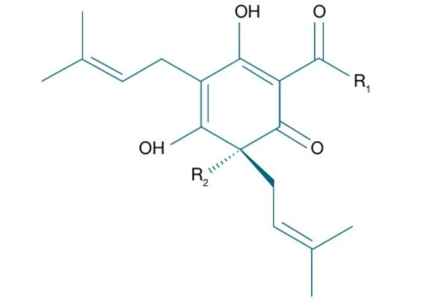 Thermo Fisher Scientific: How Bitter Acid Analysis Helps Brewers Better Control Beer Flavors: Figure 1. General chemical structure of hop bitter acids.