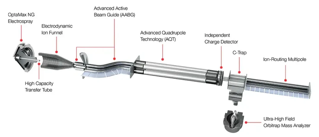 Thermo Fisher Scientific: Ion path and key components of the Orbitrap Exploris 480 mass spectrometer