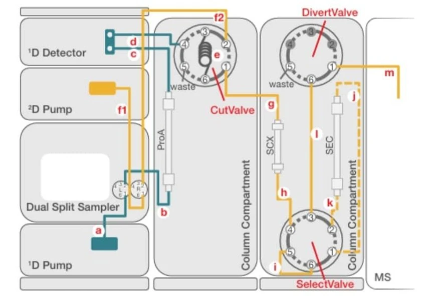 Thermo Fisher Scientific: Monitoring mAb Manufacturing the Easy Way with Switchable 2D‑LC-UV-MS: Figure 1. Fluidic scheme of a 2D-LC-MS setup that supports multiple CQA analysis as well as method development without any manual replumbing.