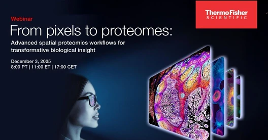 From pixels to proteomes: Advanced spatial proteomics workflows for transformative biological insights
