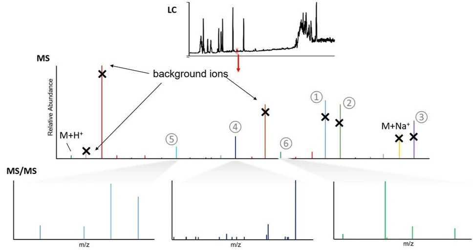 Thermo Scientific AcquireX Intelligent Data Acquisition Workflow: Representation of LC-MS/MS analysis of a sample using the AcquireX background exclusion method. A narrow mass range from the full scan HRAM MS is shown to highlight the selectivity of the AcquireX method. Real-time data analysis identifies precursor m/z values on the exclusion list (shown in red) demonstrating the extended tandem MS coverage using a top 6 method, extending the dynamic range of precursor interrogation in one DDA cycle.