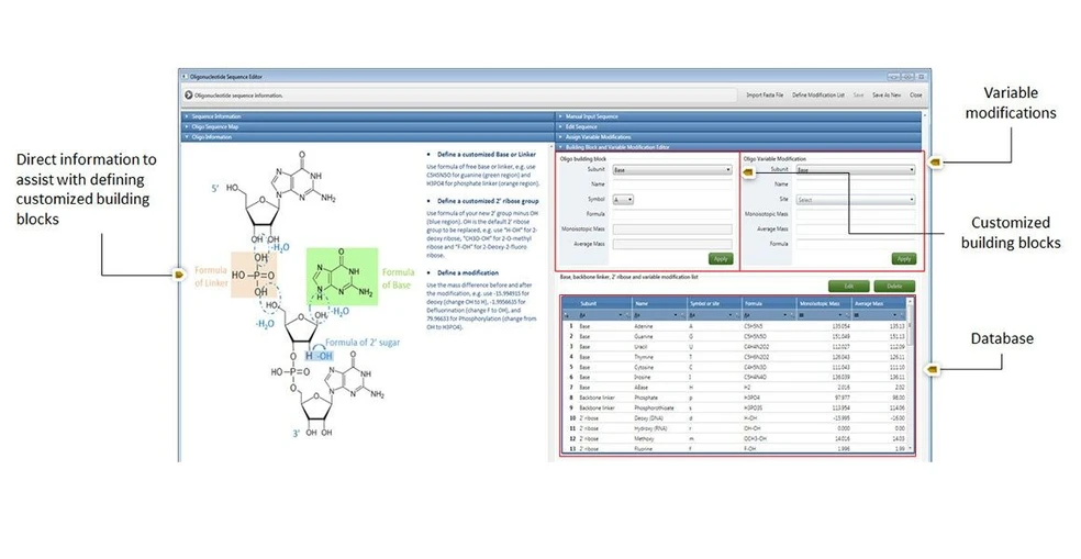 Thermo Scientific™ BioPharma Finder™ Software:  The oligonucleotide sequence editor provides an easy-to-use interface for quickly and easily building and visualizing customized oligonucleotide sequences. Build out multiple expected sequences from custom building block subunits, a wide selection of modifications from the predefined list or with user-defined custom modifications.