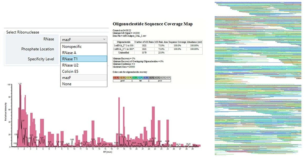 Thermo Scientific™ BioPharma Finder™ Software:  Perform mRNA mapping with selected in silico mRNA digestion or define the cleavage locations manually. Dig into the identity of fragments and expected or unexpected modifications and assess the overall coverage with intuitive visual coverage maps.